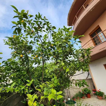 Karcanaj * Vlorë
